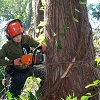 林業労働力確保支援推進事業