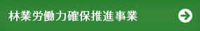 林業労働力確保支援推進事業